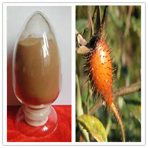 Rosehips Extract