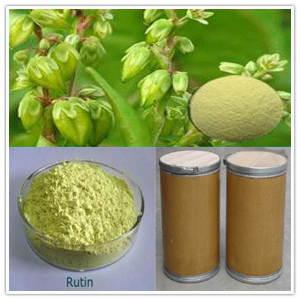 Rutin Extract