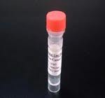 Salbutamol [Monoclonal Antibody]