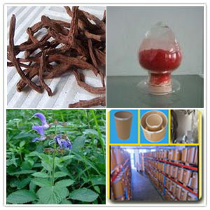 Salvia miltiorrhiza extract