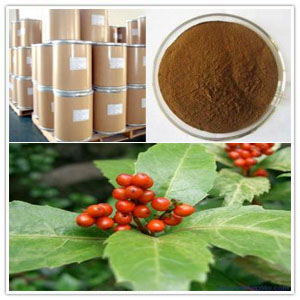 Sarcandra Glabra Extract