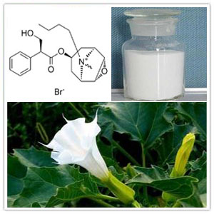 Scopolamine butylbromide