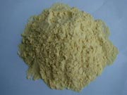 Seabuckthorn VP Powder