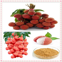 Semen Litchi Extract