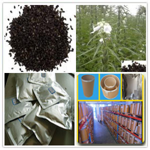 Sesamin(sesame extract)