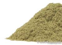 Sheep Sorrel, Root Powder