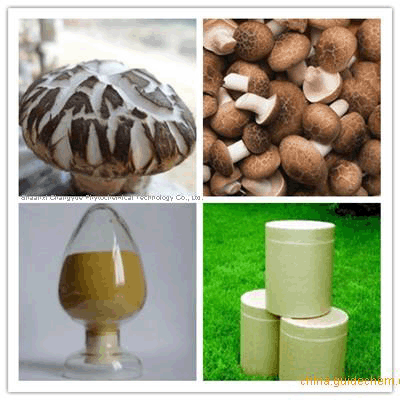 Shiitake Mushroom Extract