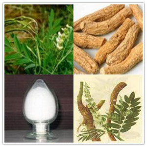 Shrubby Sophora Extract