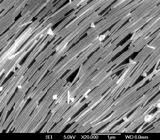 Silver nanowires