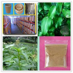 Soap Bark Extract