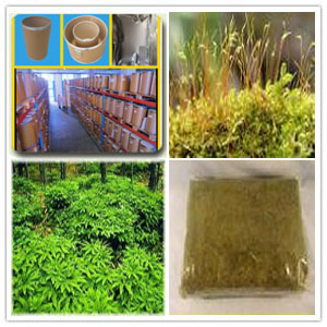 Sphagnum Girgensohnii Extract