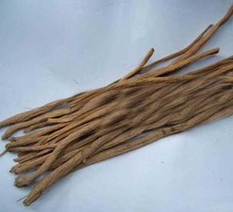 Starwort Root Extract