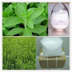 Stevia Leaf extract