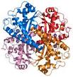 Superoxide dismutase