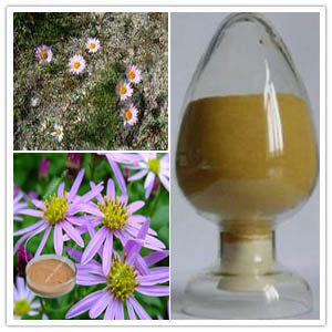 Tatarian Aster Extract