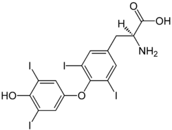 Tetraiodothyronine