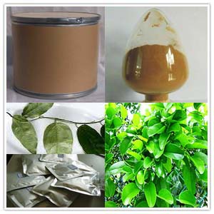 Tiliacora Triandra Extract