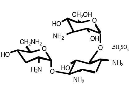 Tobramycin Sulfate