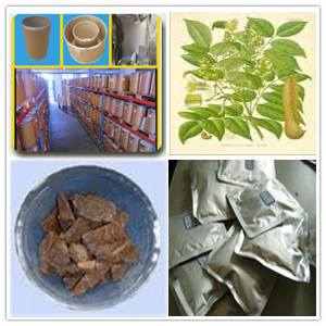 Tolu Balsam extract