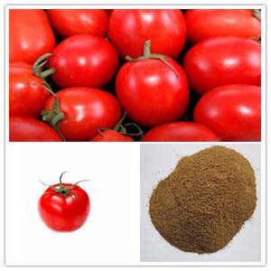 Tomatoes Extract