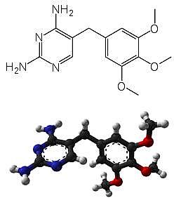 Trimethoprim (TMP)