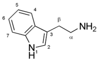 Tryptamines