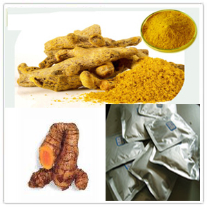 Turmeric Rhizome Extract