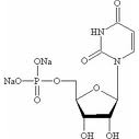 Uridine