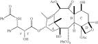 Urinary nucleosides