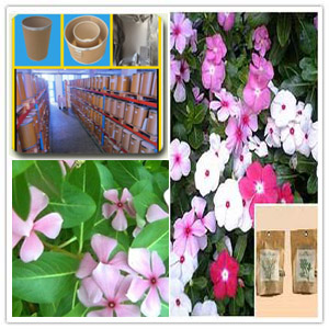 Vinca Rosea Extract