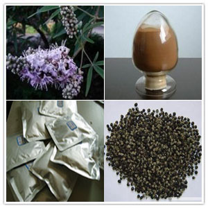 Vitex Agnus Castus Dry Extract