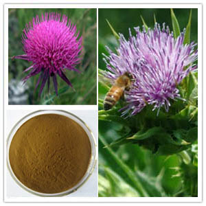 Water-Soluble Milk Thistle Extract