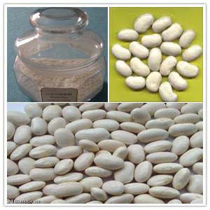 White Kidney Bean Extract