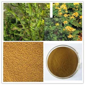 White Mustard Seed Extract