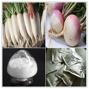 White Turnip