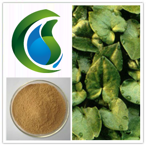 Asari/Wild Ginger Extract