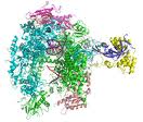 Yeast RNA