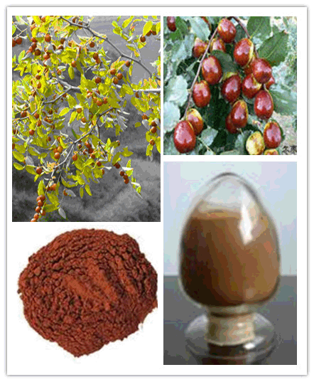 Ziziphi Extract