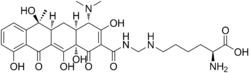 Lymecycline