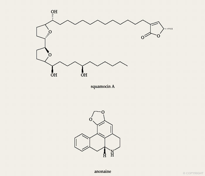 Mono-THF annonaceous acetogenin