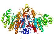 p-nitrophenyl phosptase