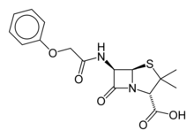 Phenoxymethylpenicillin