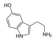 Serotonin